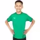 Футболка Puma teamGOAL 23 Jersey jr
