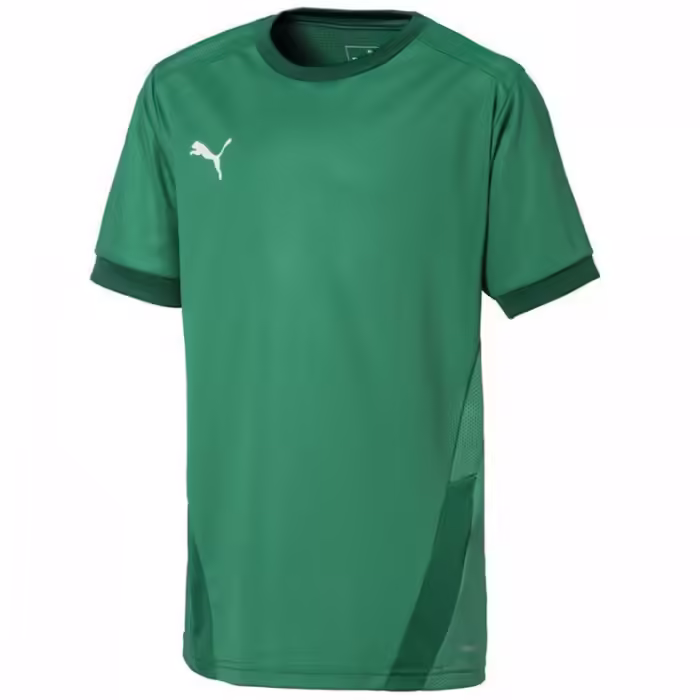 Футболка Puma teamGOAL 23 Jersey jr - 2