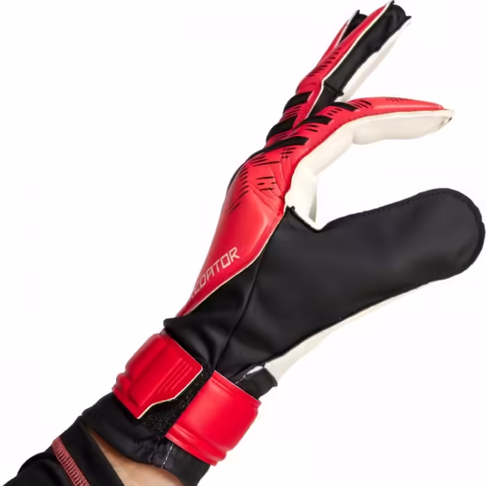 Перчатки вратарские Adidas PRED GL TRN - 2