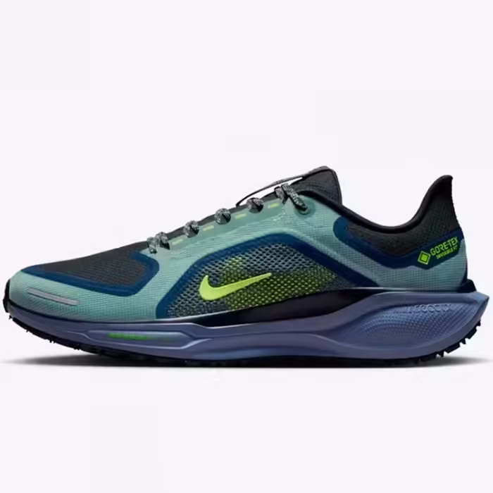 Кроссовки Nike AIR ZM PEGASUS 41 GTX