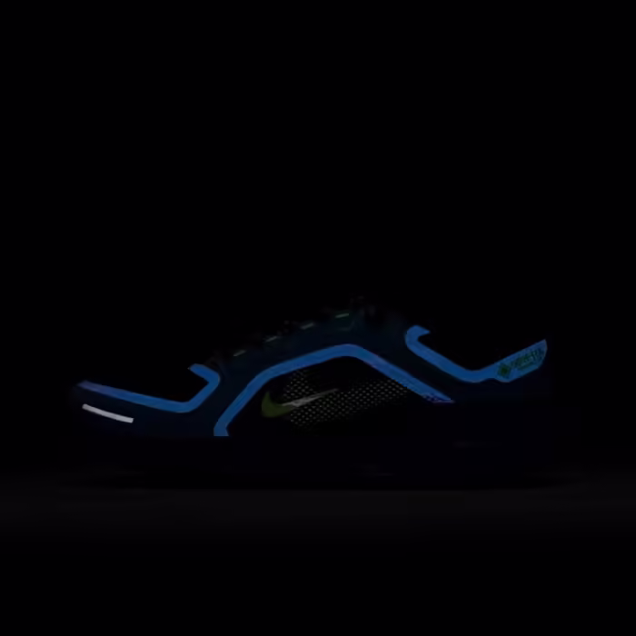 Кроссовки Nike AIR ZM PEGASUS 41 GTX - 2
