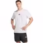 Alb
