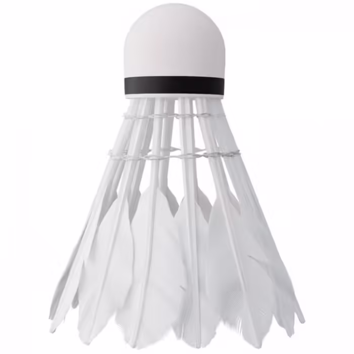 Fluturasi p/u badminton NILS Nils 6 - 3