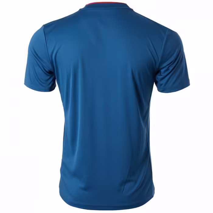 Polo Asics COURT M GPX POLO - 2