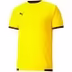 Футболка Puma teamLIGA Jersey