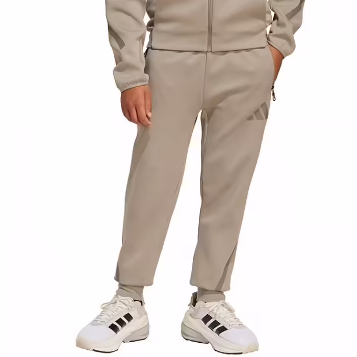 Брюки Adidas J Z.N.E. PT