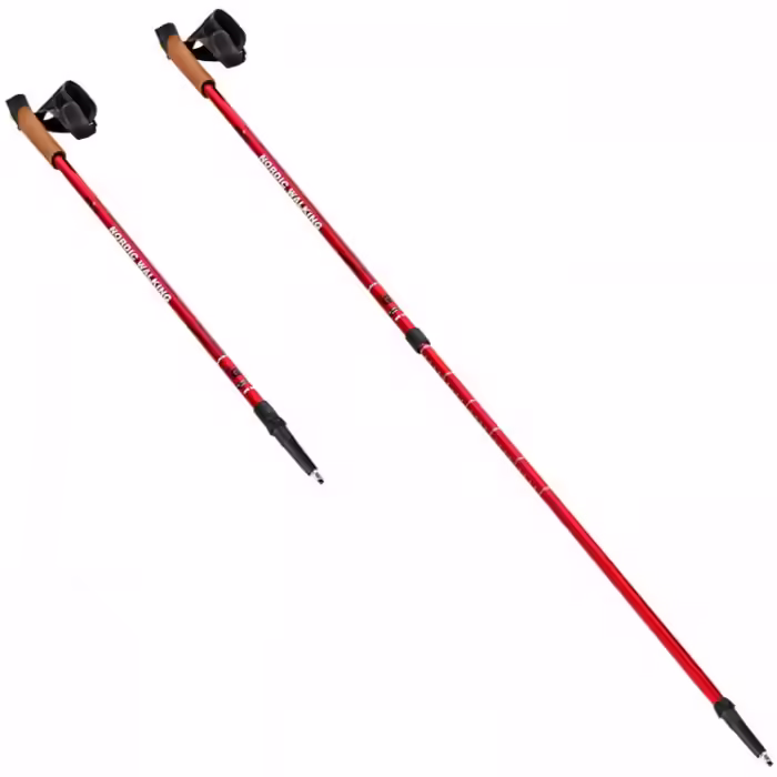 Bete nordic walking NILS Nordic poles - 4