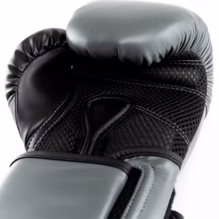Перчатки для бокса Everlast POWERLOCK 2R 16OZ - 2