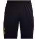 Sorti Under Armour UA TECH GRAPHIC SHORT