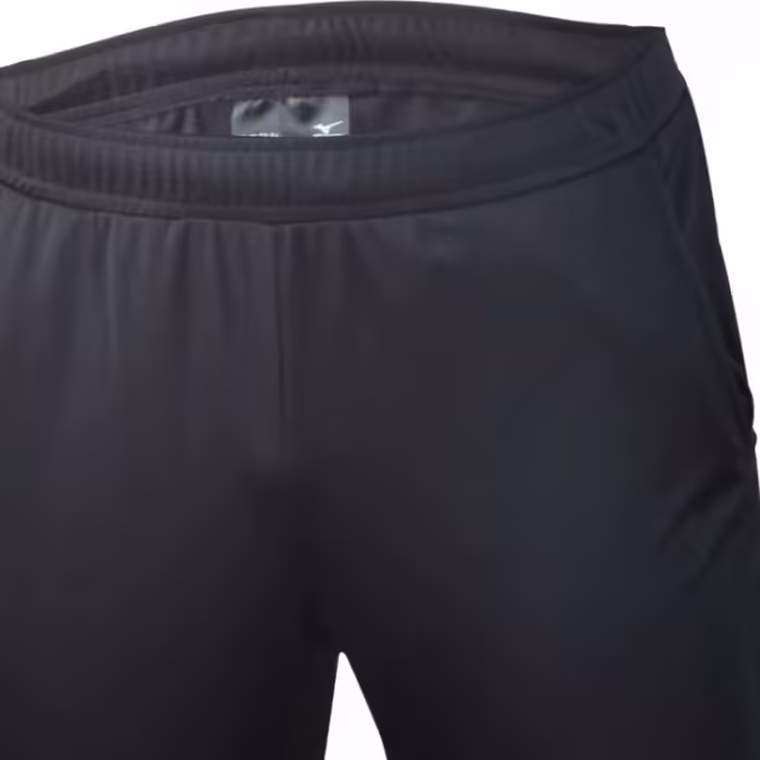 Sorti Mizuno Nara Trainng Short - 4