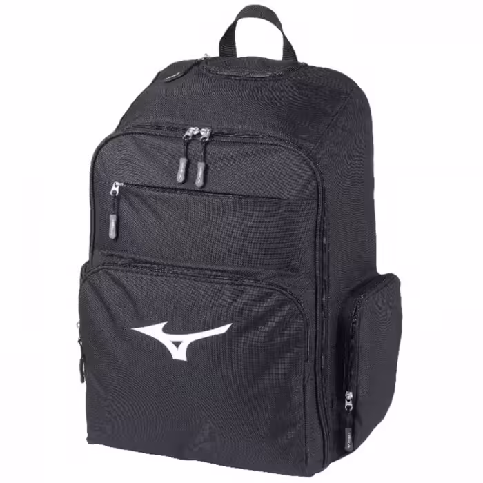 Сумка спортивная Mizuno RB Trolley