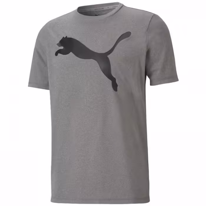 Футболка Puma ACTIVE Big Logo Tee
