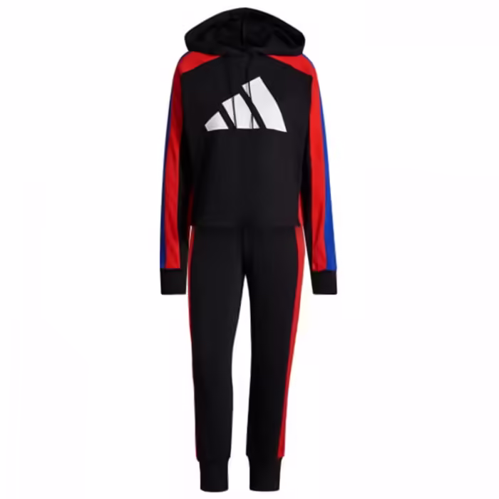 Спортивный костюм Adidas W TS BIG LOGO