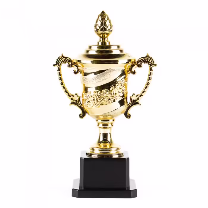 Кубок HAOYUNQI Gold Cup