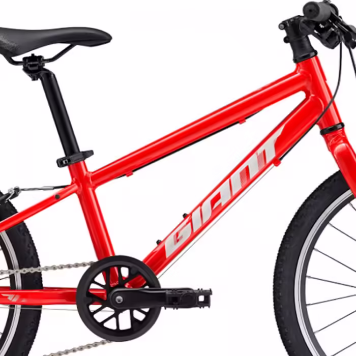 Bicicleta pentru copii Giant ARX 20 - 2