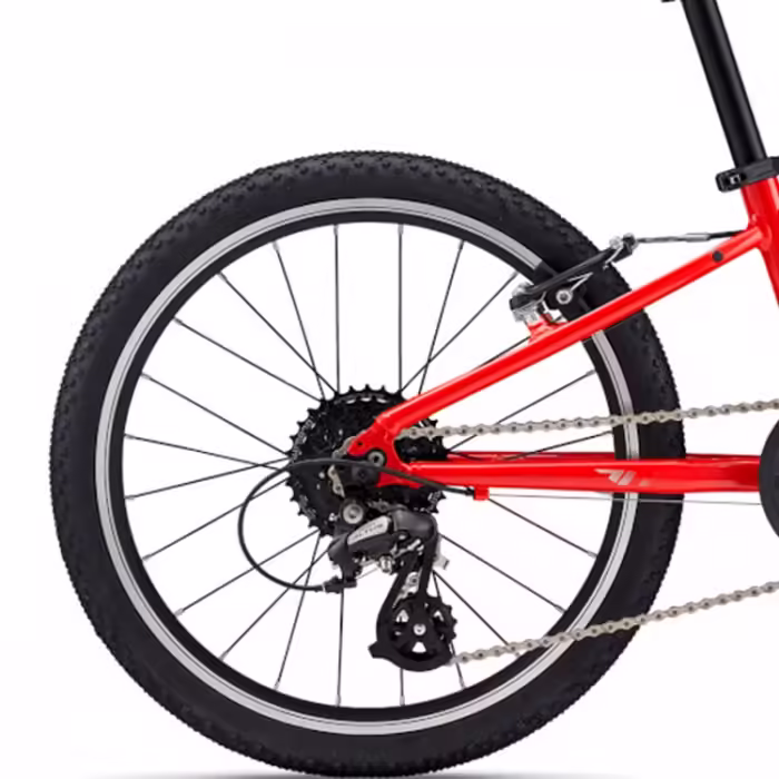 Bicicleta pentru copii Giant ARX 20 - 3