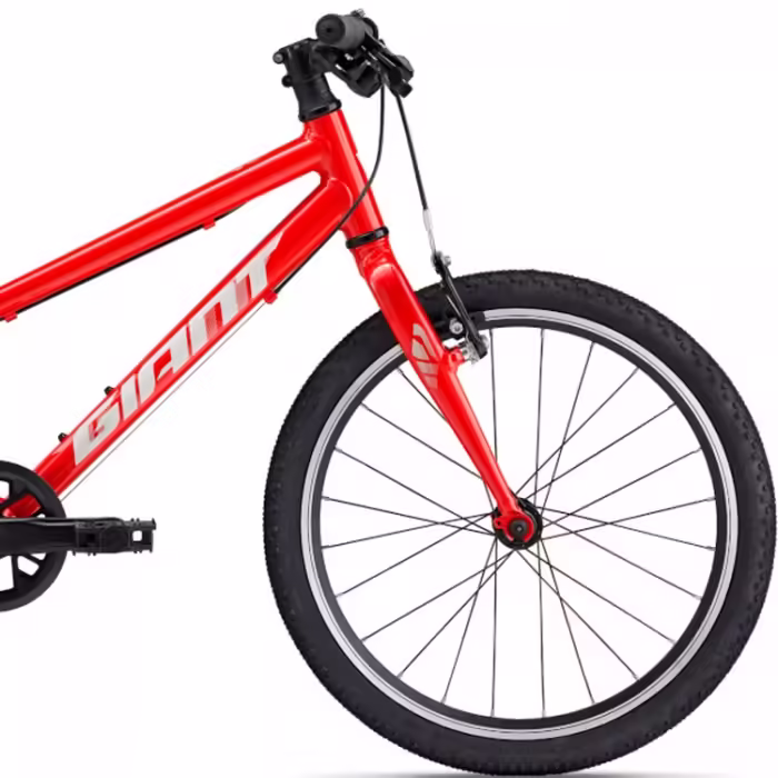 Bicicleta pentru copii Giant ARX 20 - 4