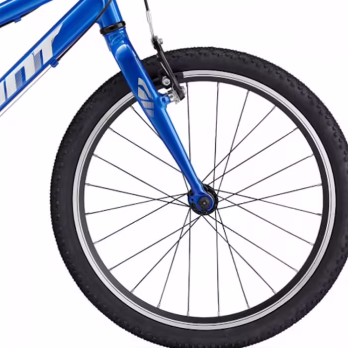 Bicicleta pentru copii Giant ARX 20 - 3