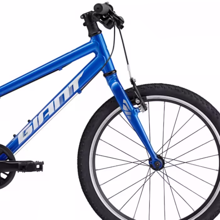 Bicicleta pentru copii Giant ARX 20 - 4
