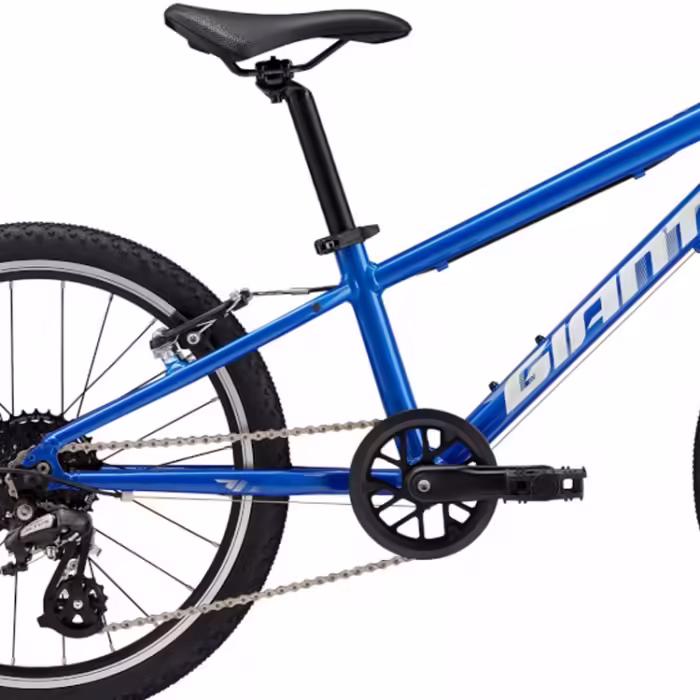 Bicicleta pentru copii Giant ARX 20 - 5