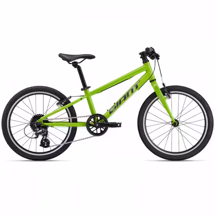 Bicicleta pentru copii Giant ARX 20