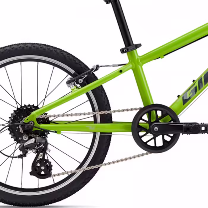 Bicicleta pentru copii Giant ARX 20 - 3