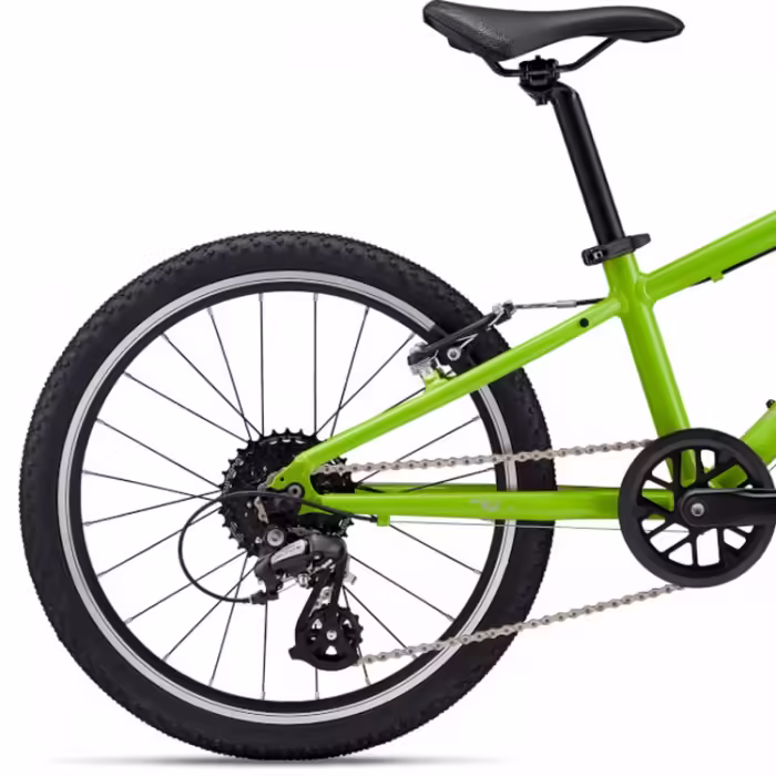 Bicicleta pentru copii Giant ARX 20 - 4