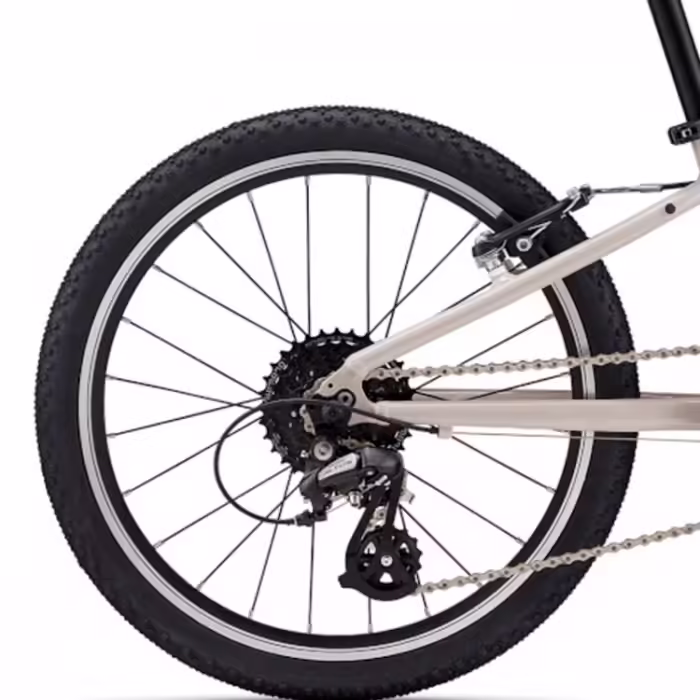 Bicicleta pentru copii Giant ARX 20 - 2