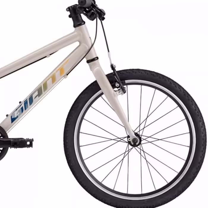 Bicicleta pentru copii Giant ARX 20 - 4