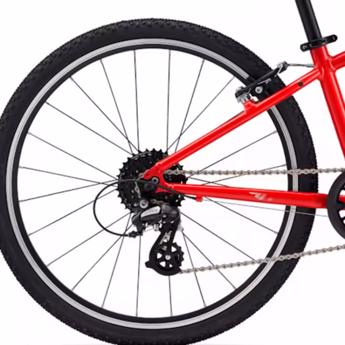 Велосипед детский Giant ARX 24 - 5