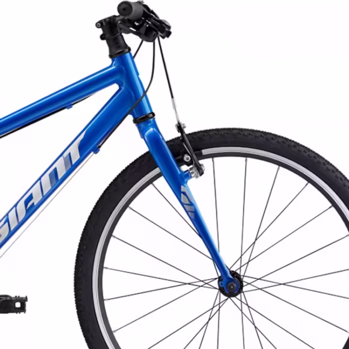 Bicicleta pentru copii Giant ARX 24 - 2