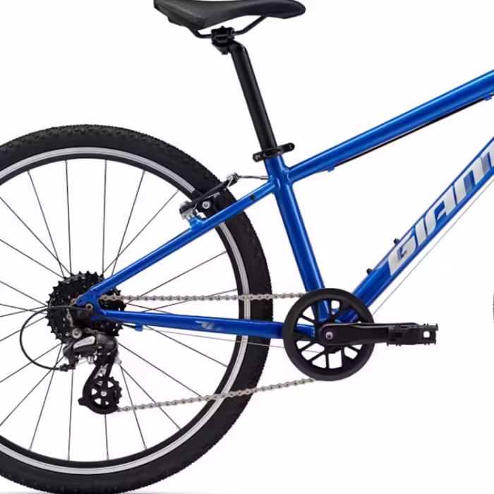 Bicicleta pentru copii Giant ARX 24 - 3