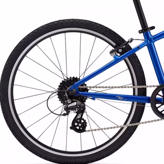 Bicicleta pentru copii Giant ARX 24 - 4