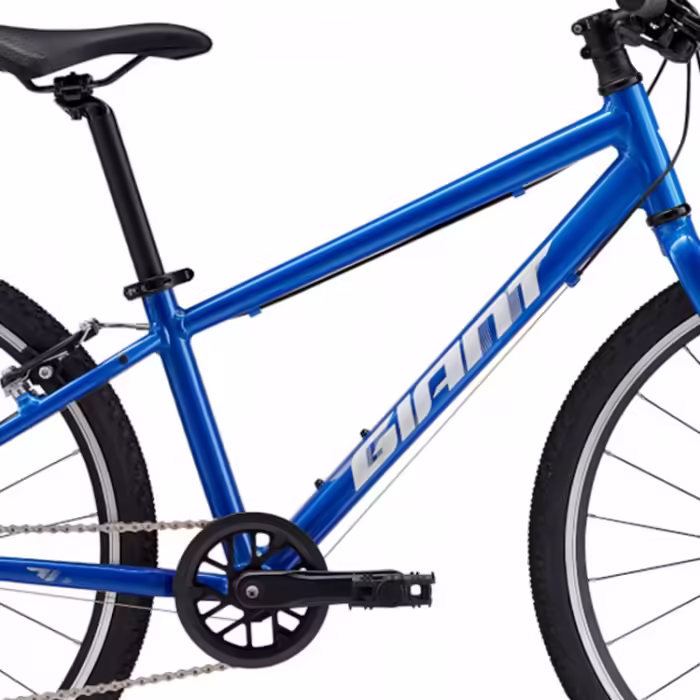 Bicicleta pentru copii Giant ARX 24 - 5