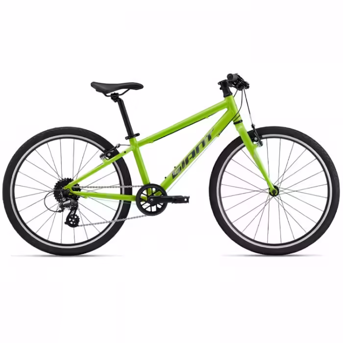 Bicicleta pentru copii Giant ARX 24