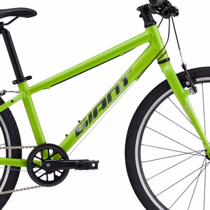Bicicleta pentru copii Giant ARX 24 - 2