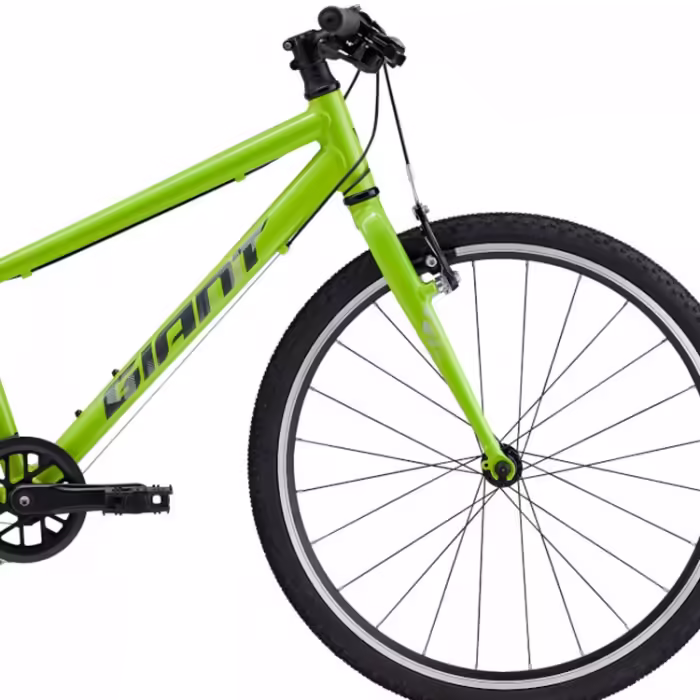Bicicleta pentru copii Giant ARX 24 - 3