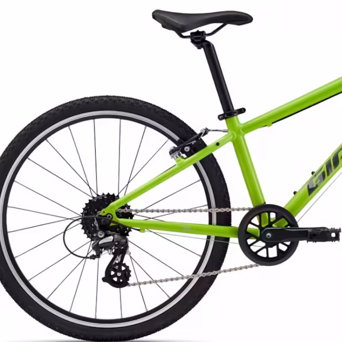 Bicicleta pentru copii Giant ARX 24 - 5