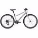 Bicicleta pentru copii Giant ARX 24