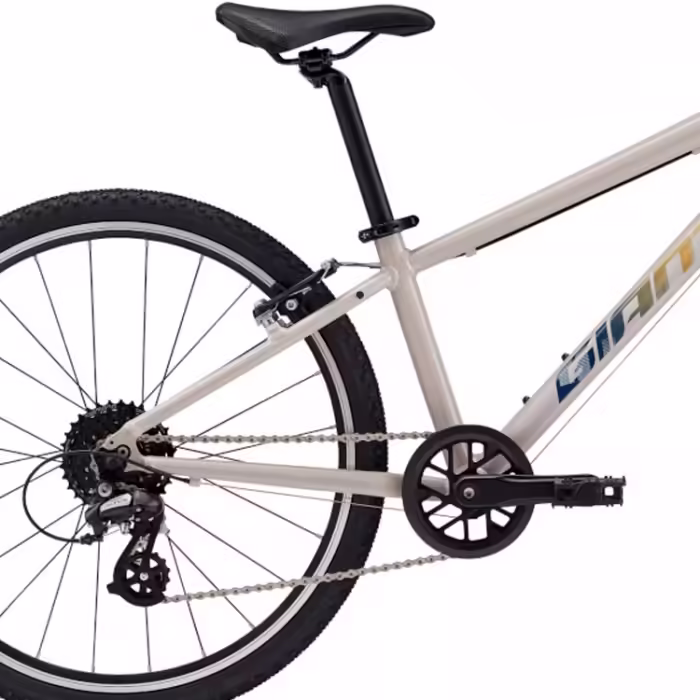 Bicicleta pentru copii Giant ARX 24 - 2