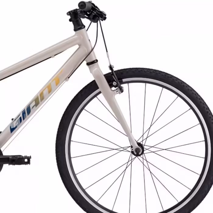 Bicicleta pentru copii Giant ARX 24 - 3