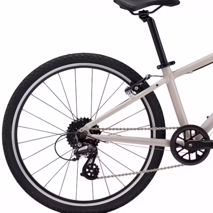 Bicicleta pentru copii Giant ARX 24 - 4