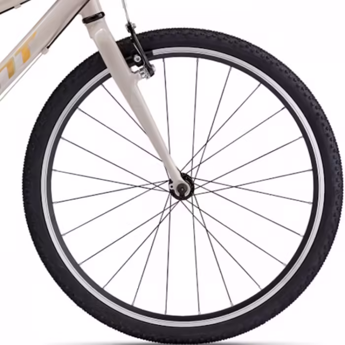 Bicicleta pentru copii Giant ARX 24 - 5