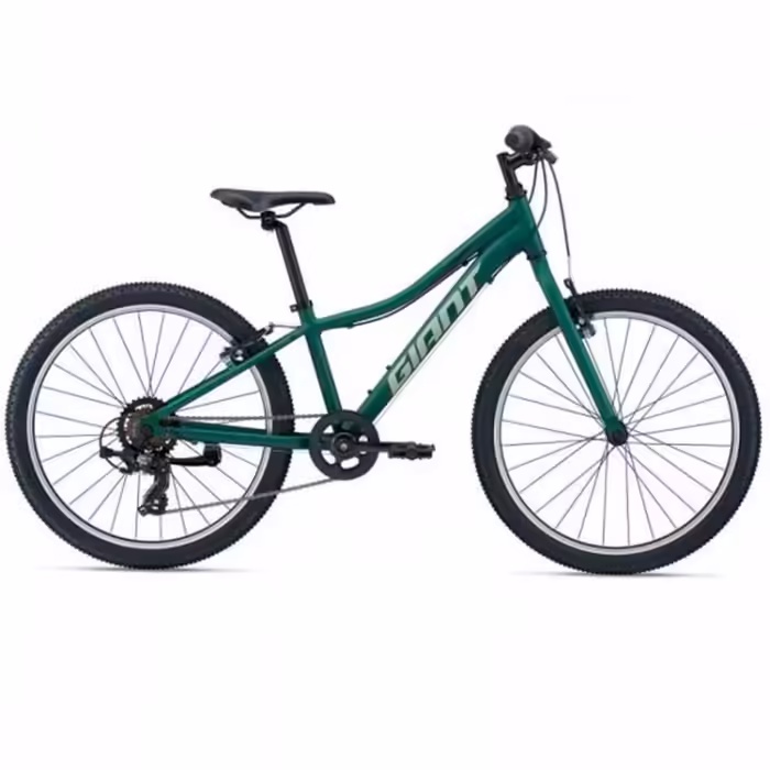 Bicicleta p/u copii Giant XtC Jr 24 Lite