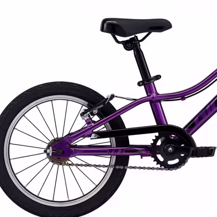 Bicileta pentru copii GIANT ARX 16 F/W - 4