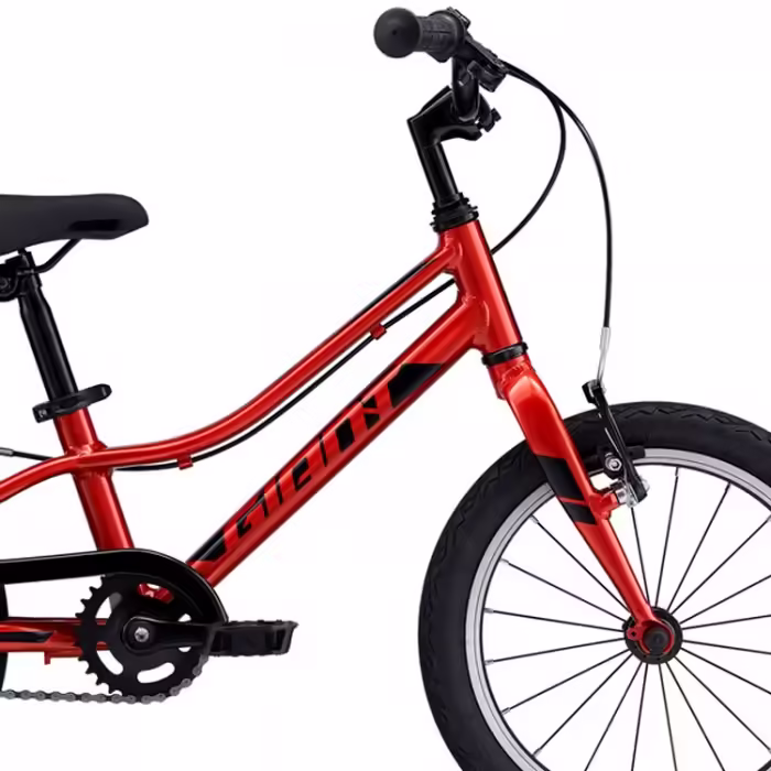 Велосипед детский GIANT ARX 16 F/W - 4