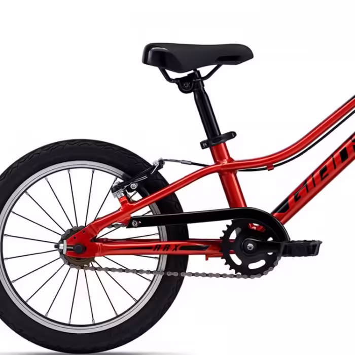 Велосипед детский GIANT ARX 16 F/W - 5