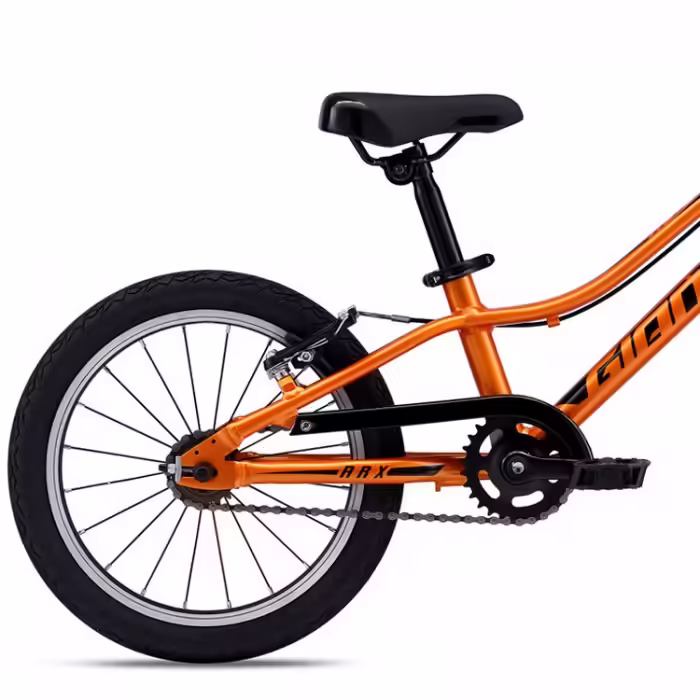 Bicileta pentru copii GIANT ARX 16 F/W - 2