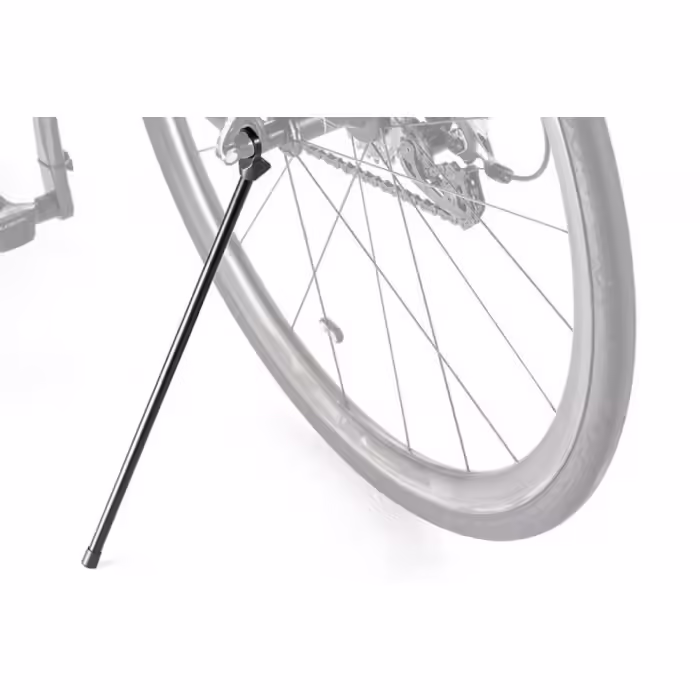 Cric Giant 500000010