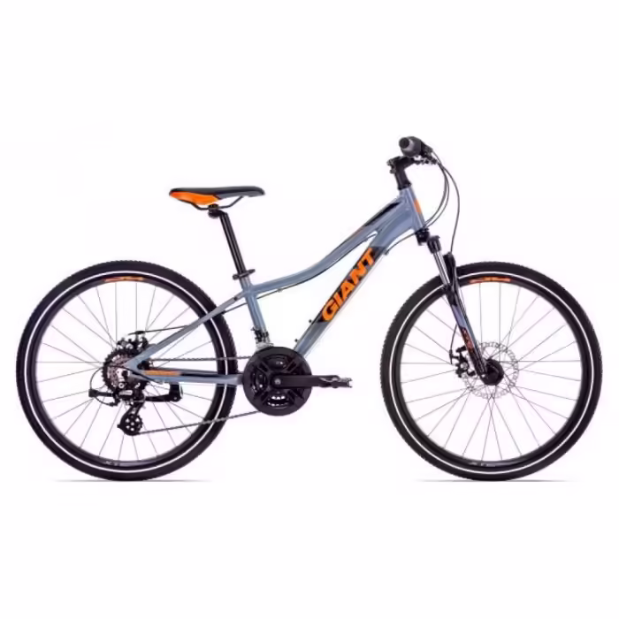 Bicicleta de munte Giant XTC Jr 1 Disc 24 Gray